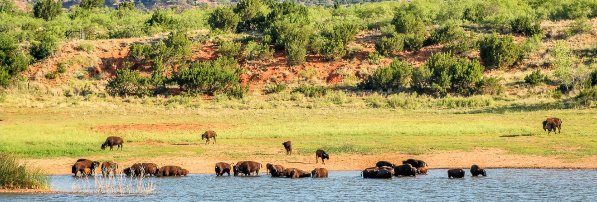 Caprock-Canyons_state_parks.jpg