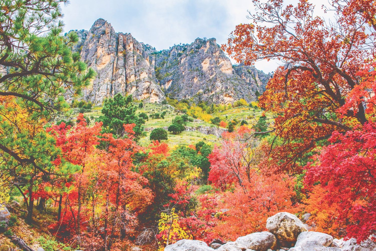 Guadalupe-Mountains-National-Park